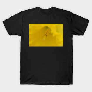 The softness of a daffodil T-Shirt